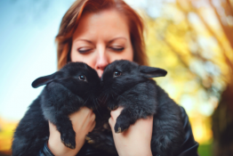 cohabitation deux lapins